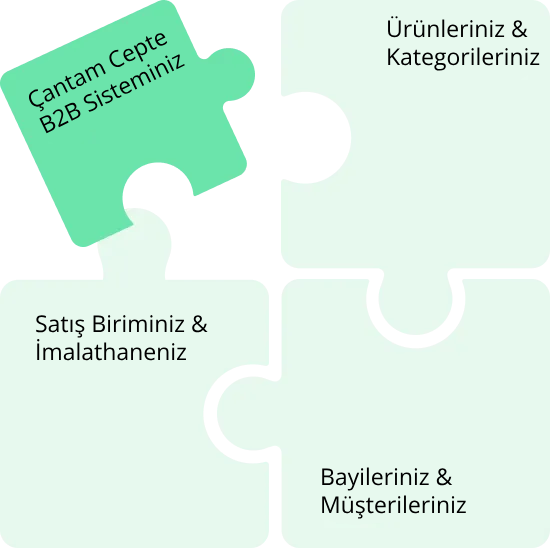 team image